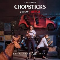 دانلود فیلم Chopsticks 2019 ( چوب غذاخوری ۲۰۱۹ ) با زیرنویس فارسی چسبیده